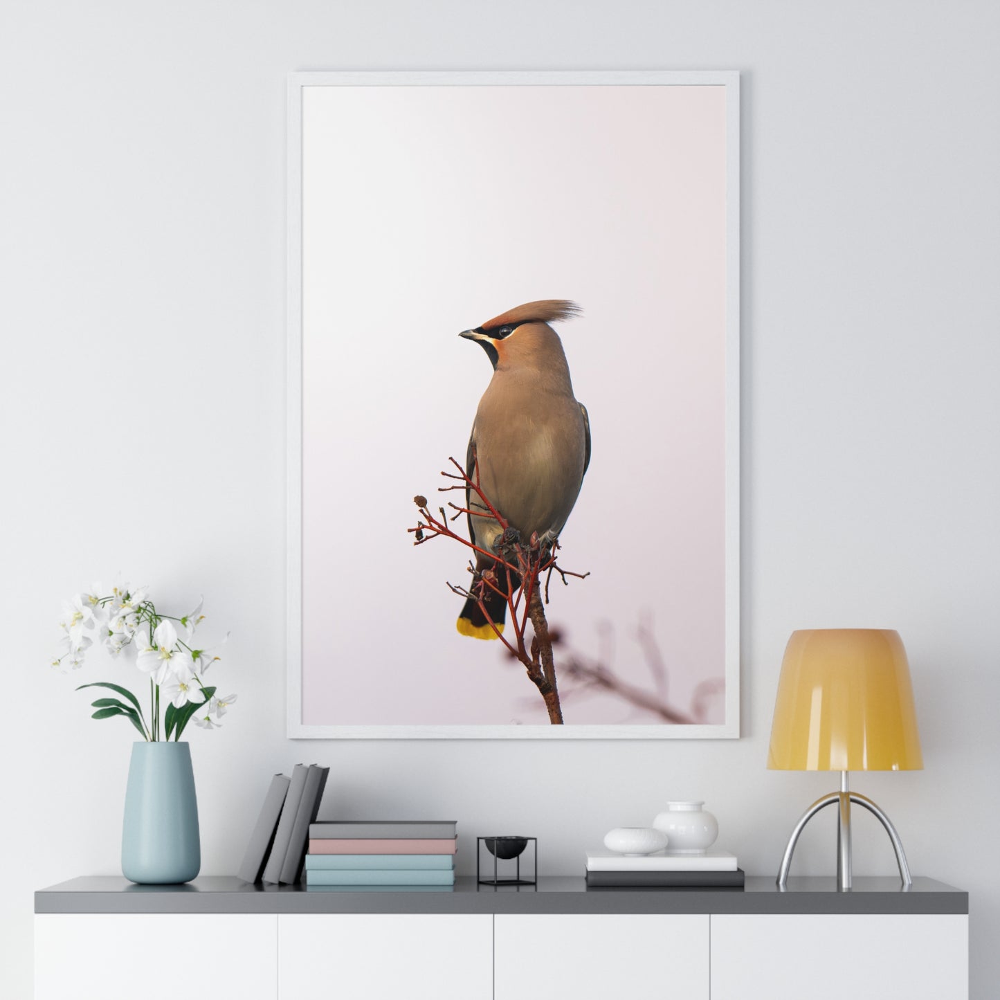 Bohemian Waxwing during sunset