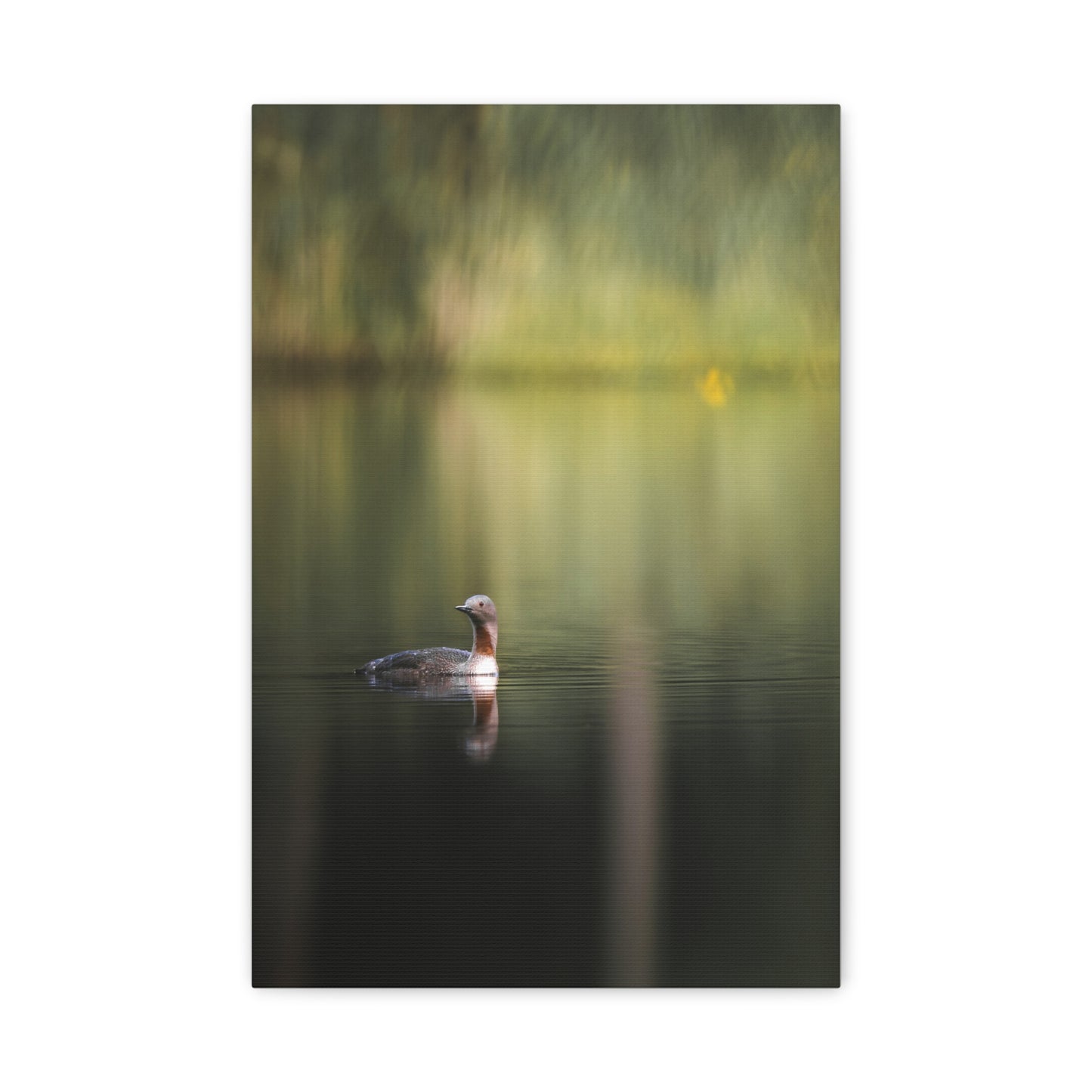 Calm Waters