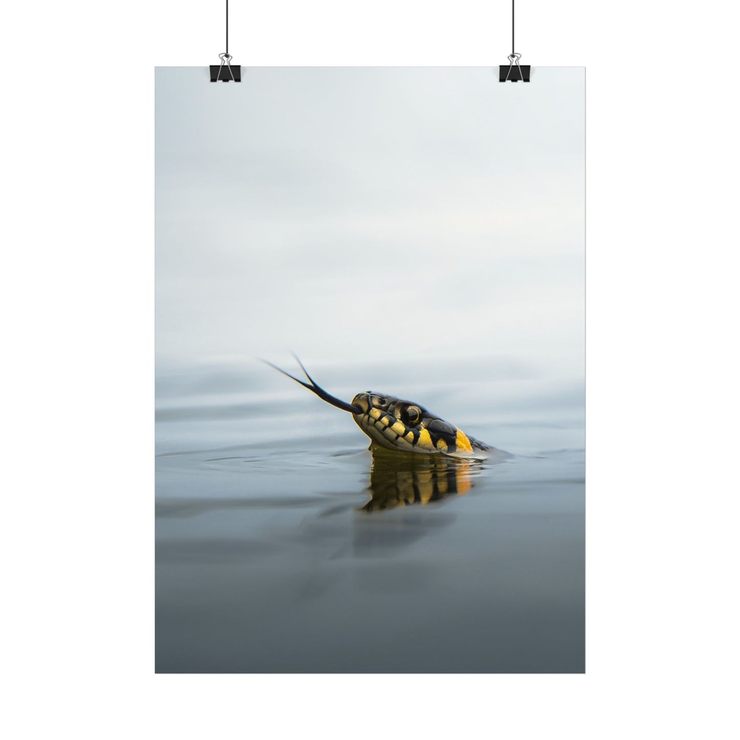 Swimming snake poster