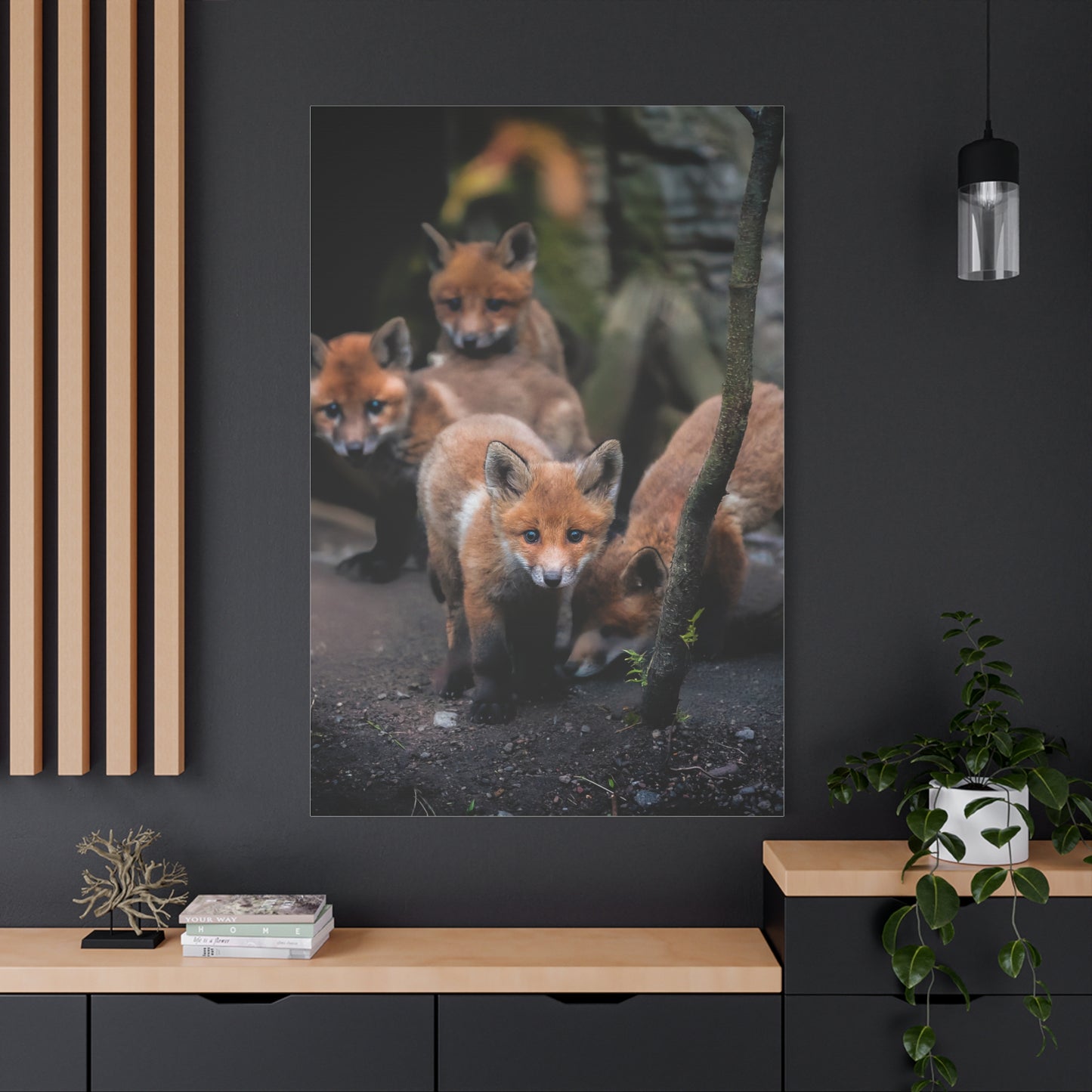 Fox Siblings