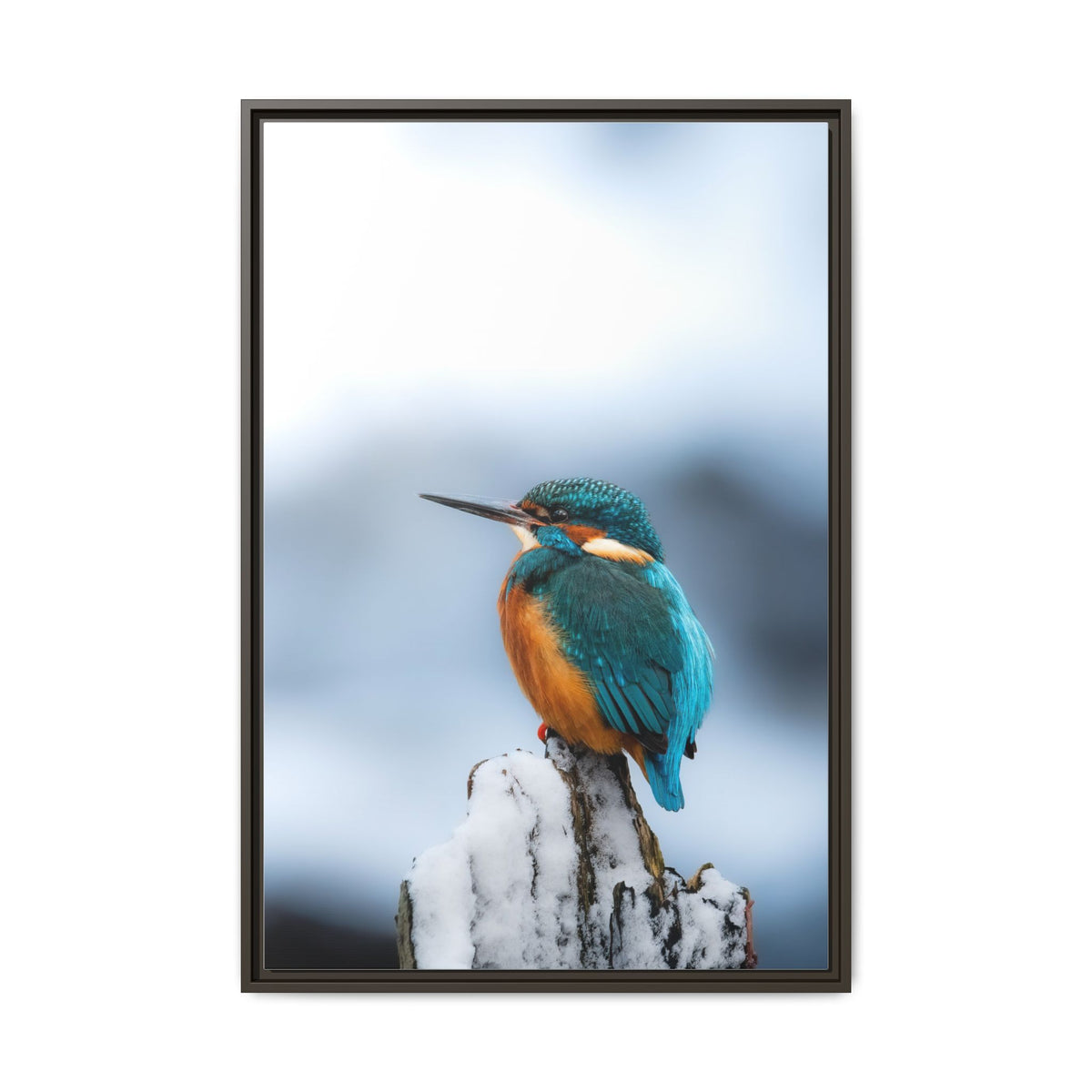 Framed Kingfisher Canvas Print — Matte Nature Wall Art
