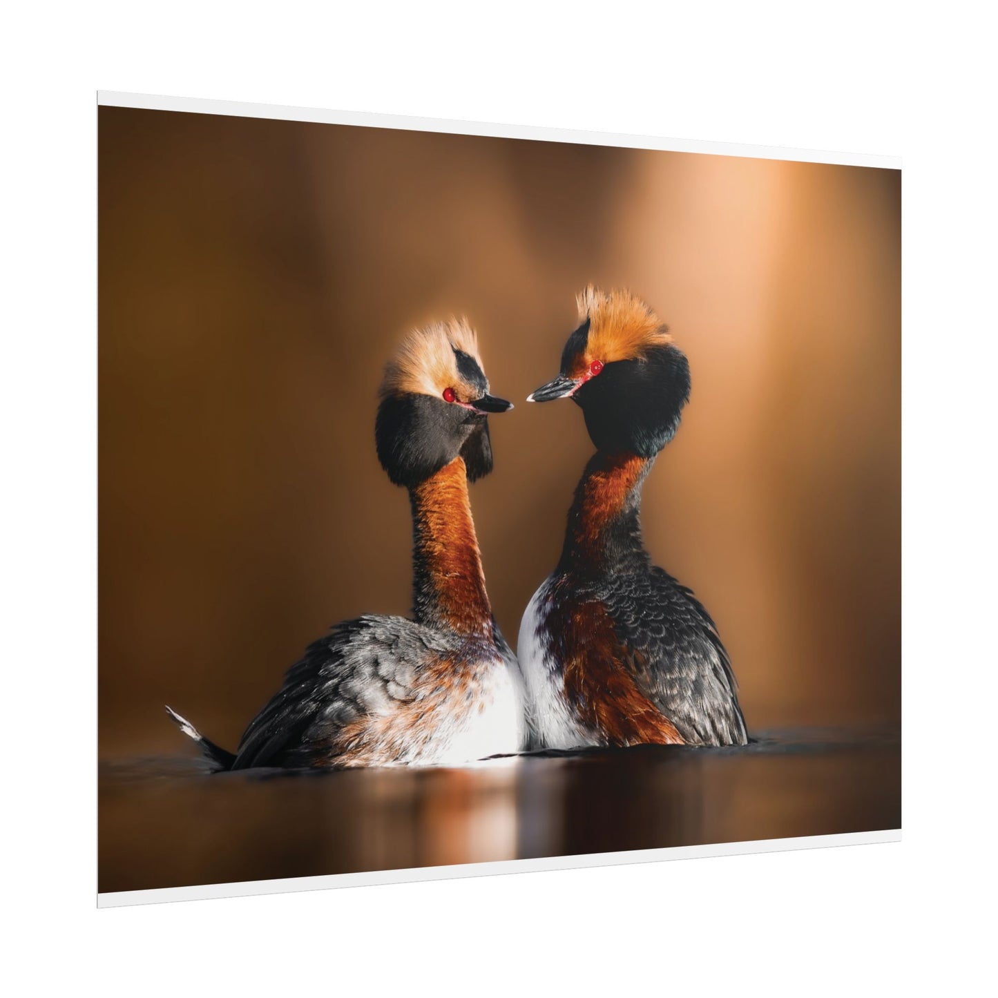 Mating Ritual poster