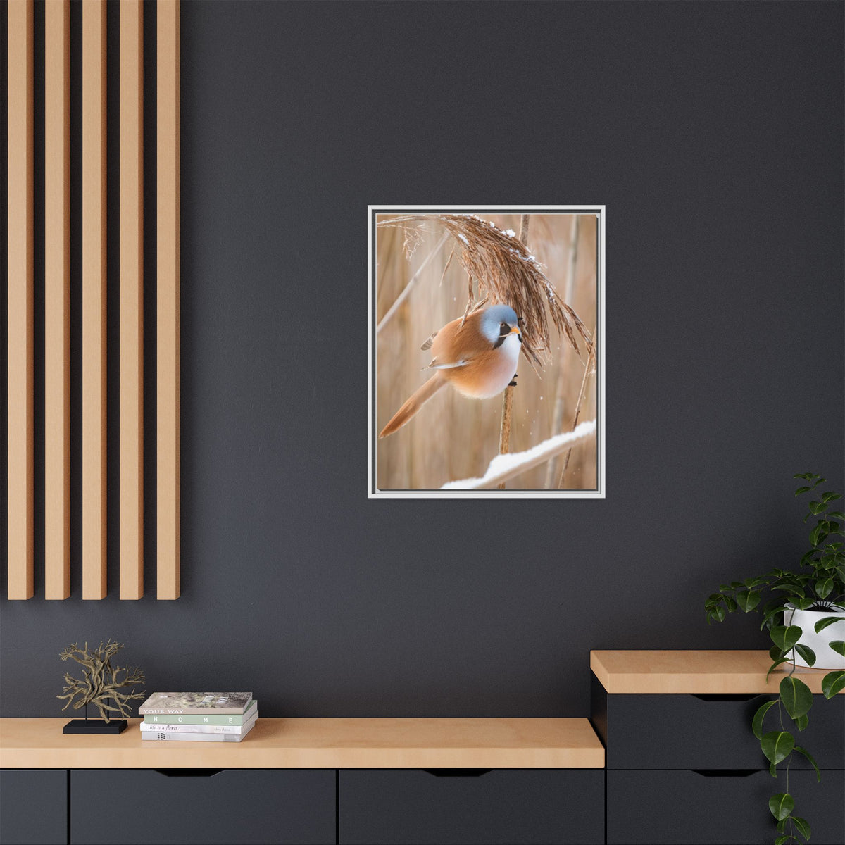 Framed Matte Canvas - Bearded Reedling Bird Photography (Winter Marsh)