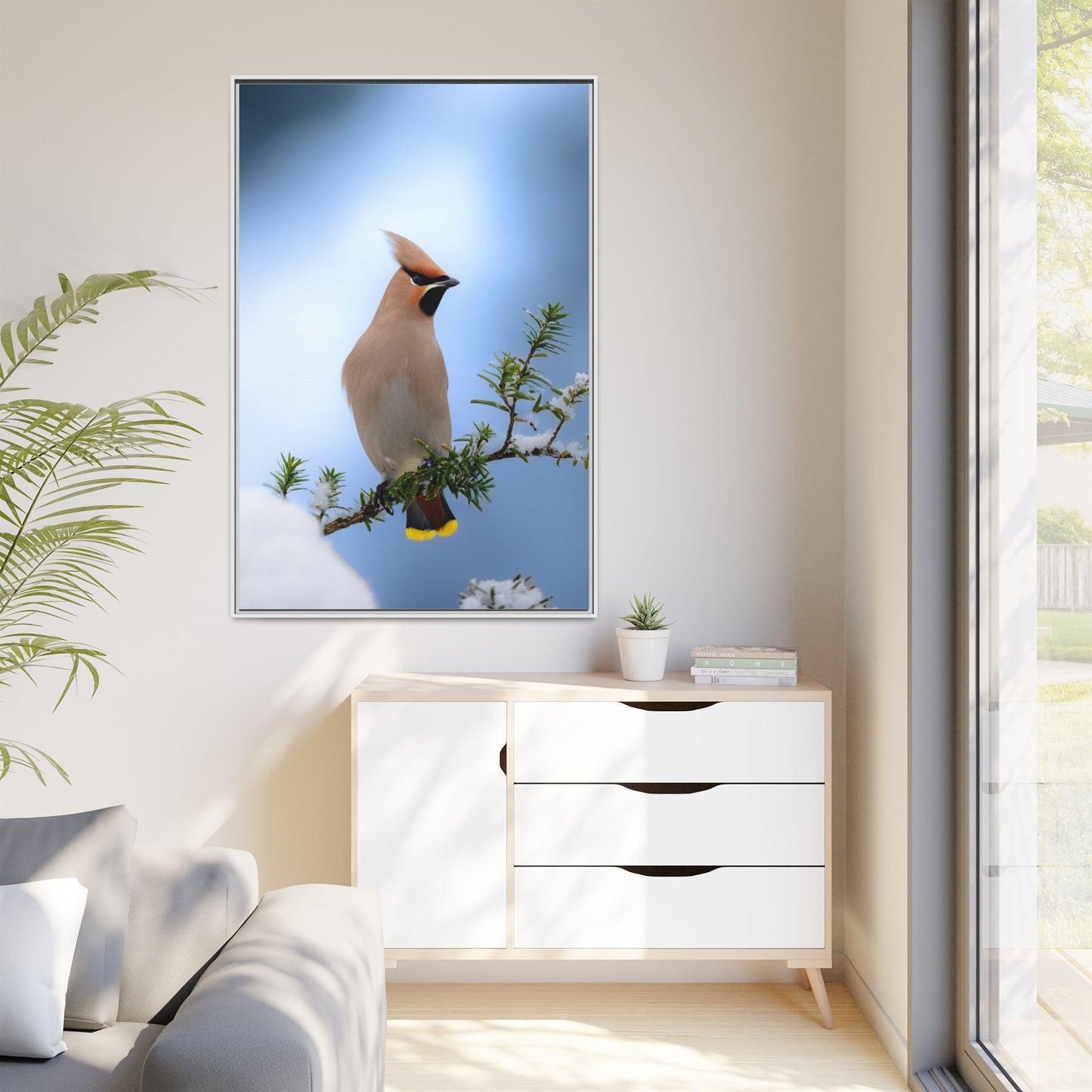 Bohemian Waxwing