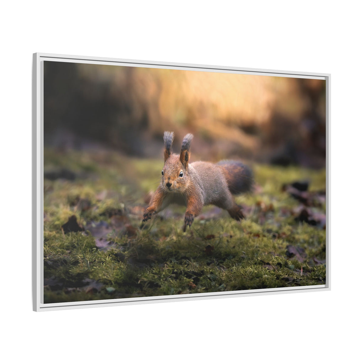 Framed Matte Canvas – Red Squirrel in Mossy Forest Wall Art