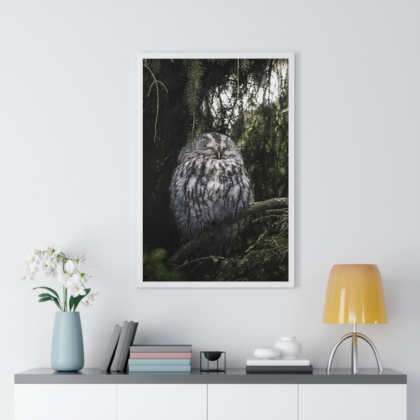 Sleepy Tawny Owl