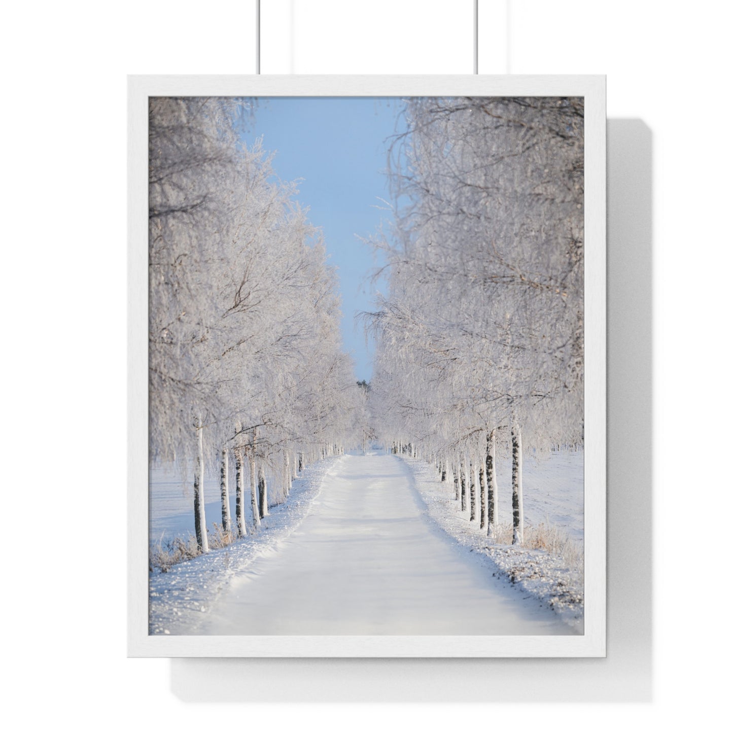 Winter Wonderland