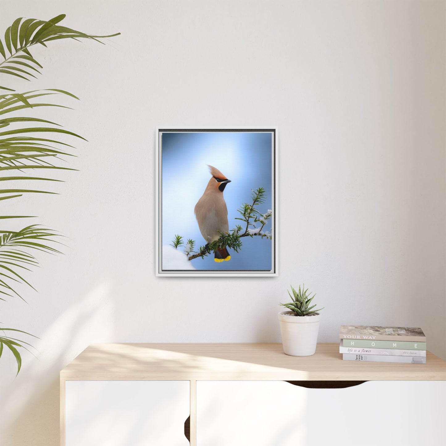 Bohemian Waxwing