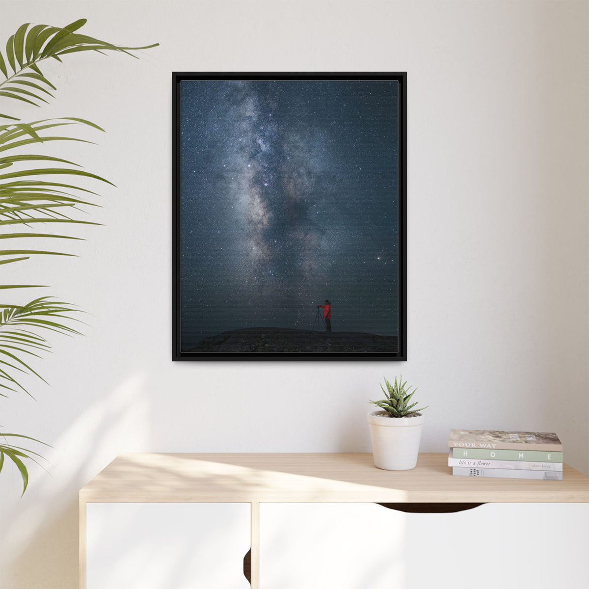 Stargazer