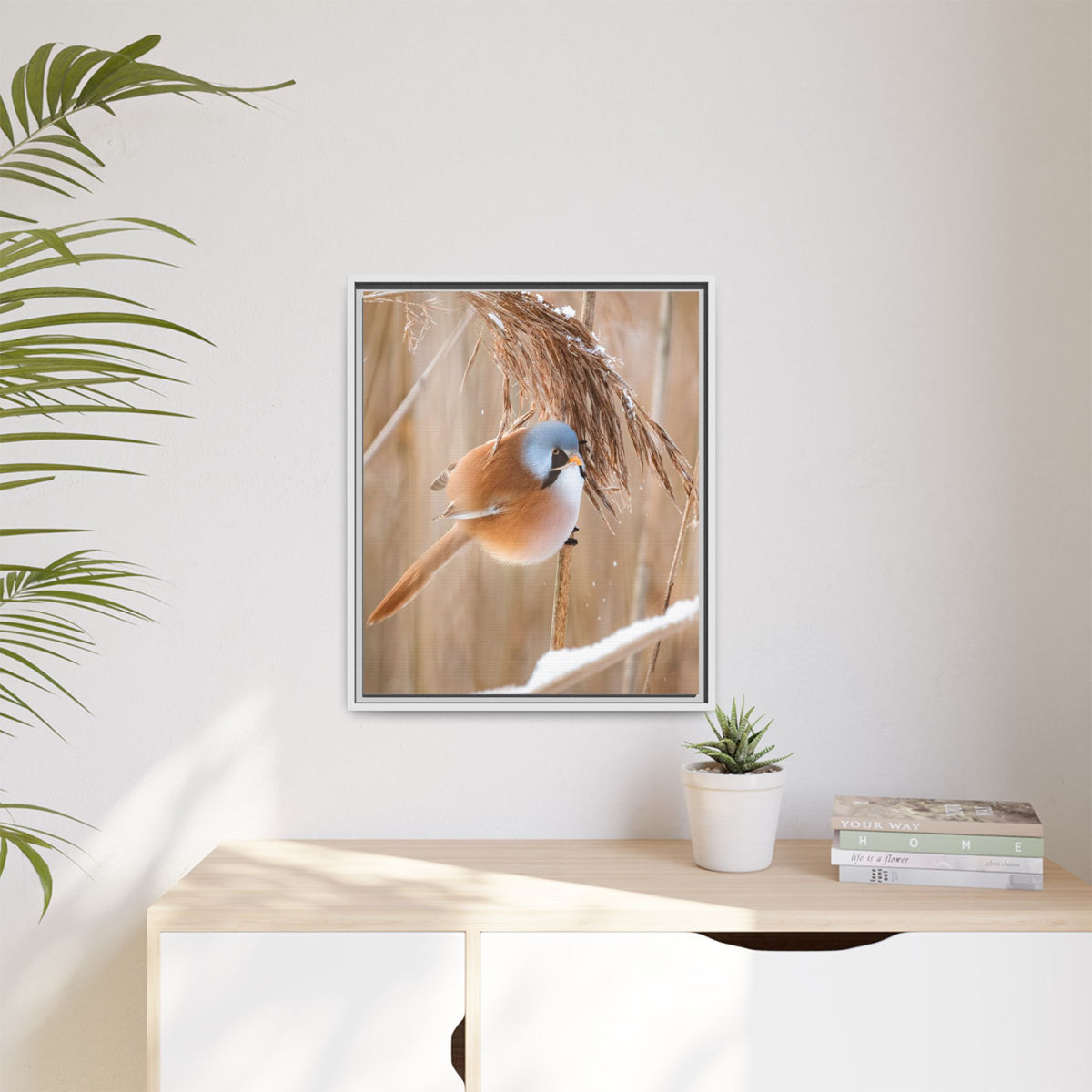 Framed Matte Canvas - Bearded Reedling Bird Photography (Winter Marsh)