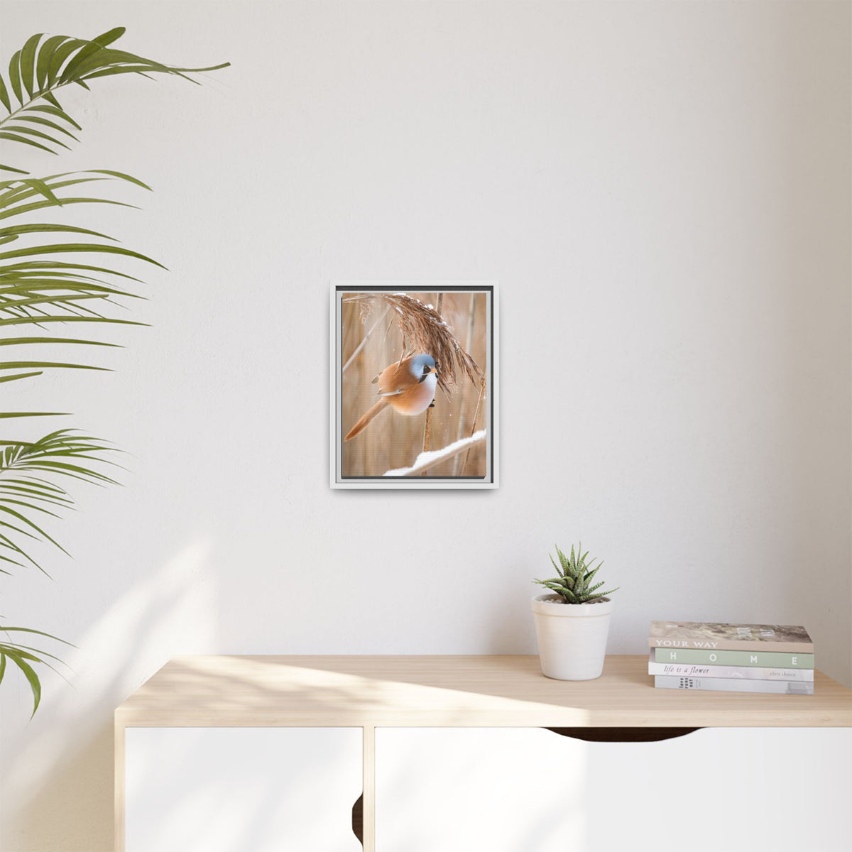 Framed Matte Canvas - Bearded Reedling Bird Photography (Winter Marsh)