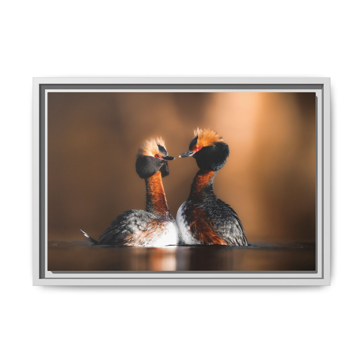 Mating Ritual