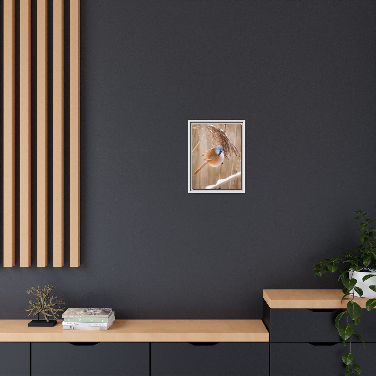Framed Matte Canvas - Bearded Reedling Bird Photography (Winter Marsh)