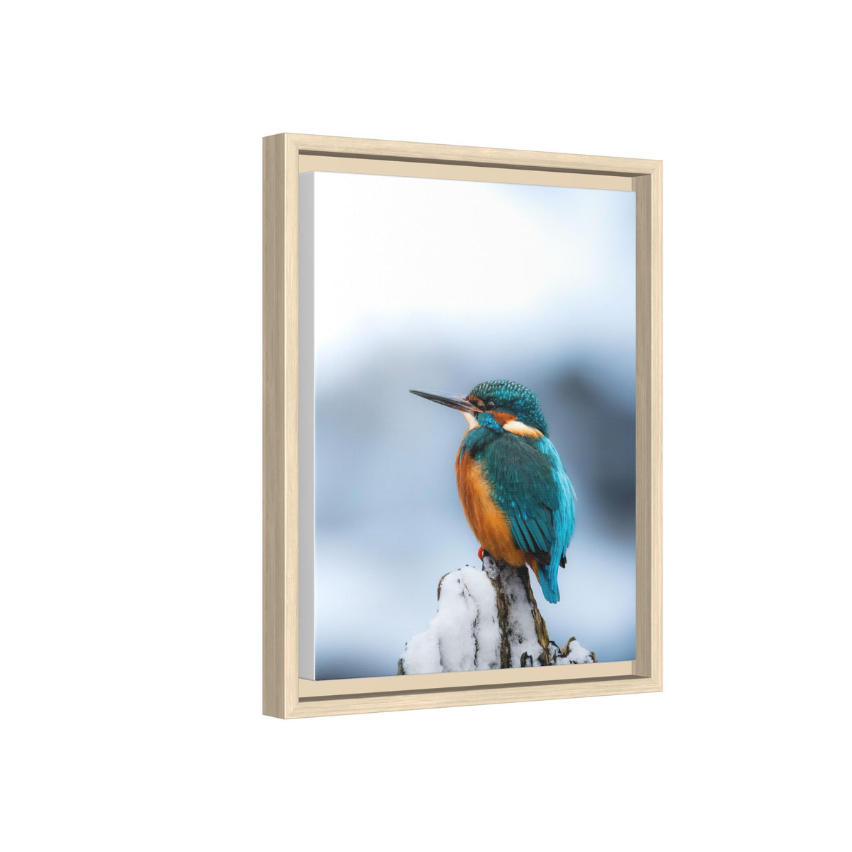Framed Kingfisher Canvas Print — Matte Nature Wall Art