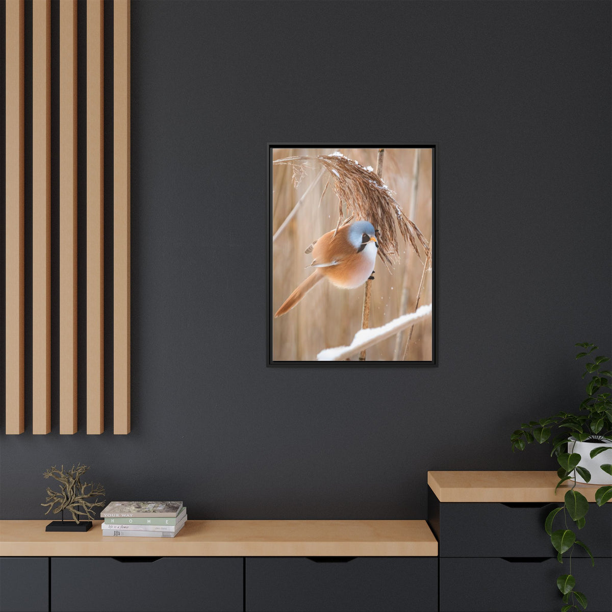 Framed Matte Canvas - Bearded Reedling Bird Photography (Winter Marsh)