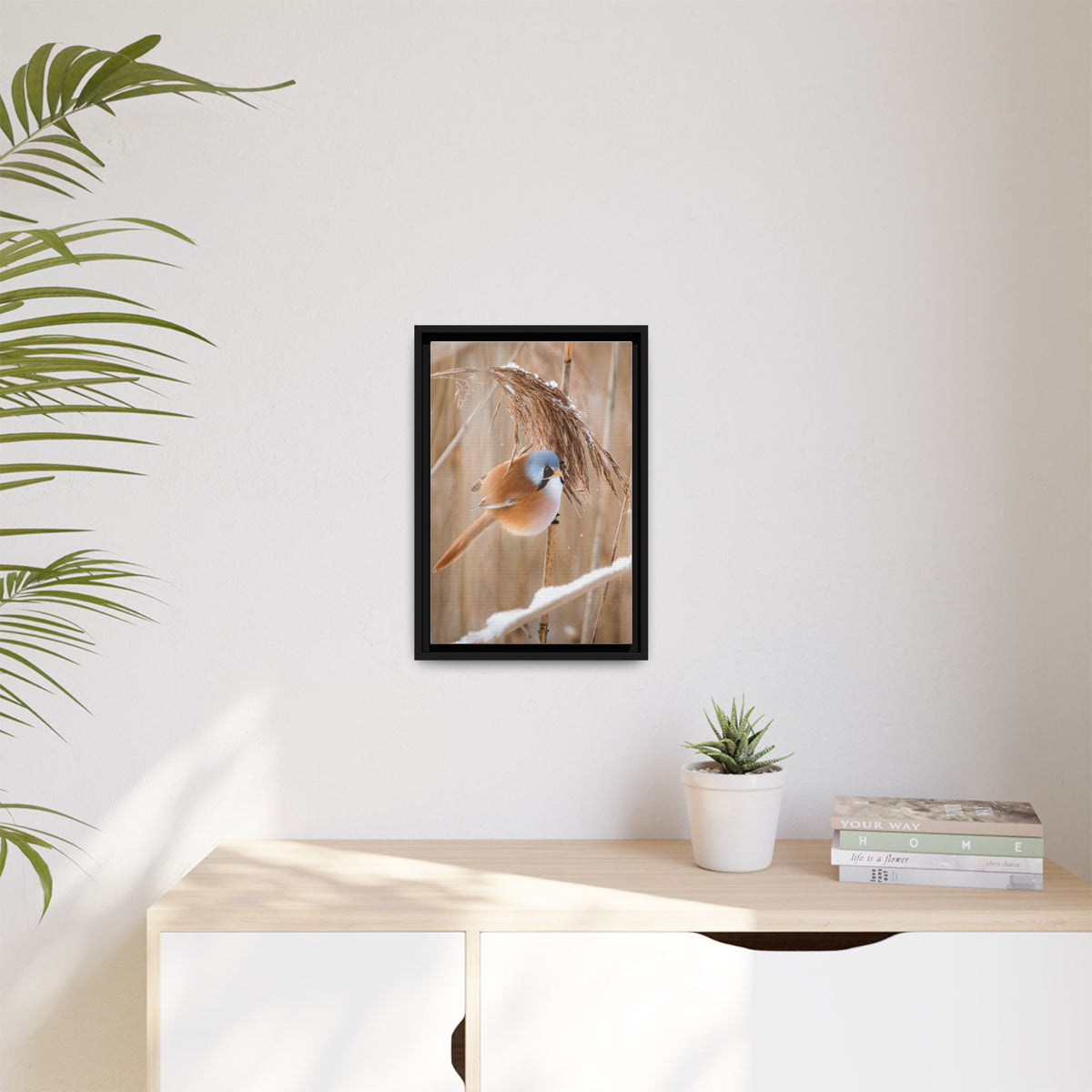 Framed Matte Canvas - Bearded Reedling Bird Photography (Winter Marsh)