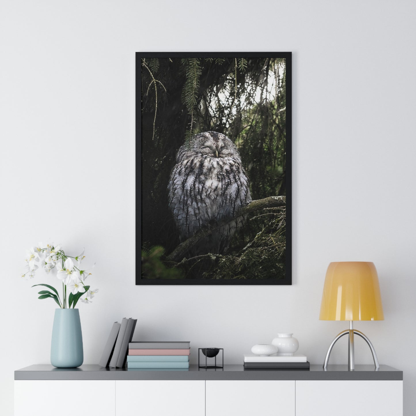 Sleepy Tawny Owl