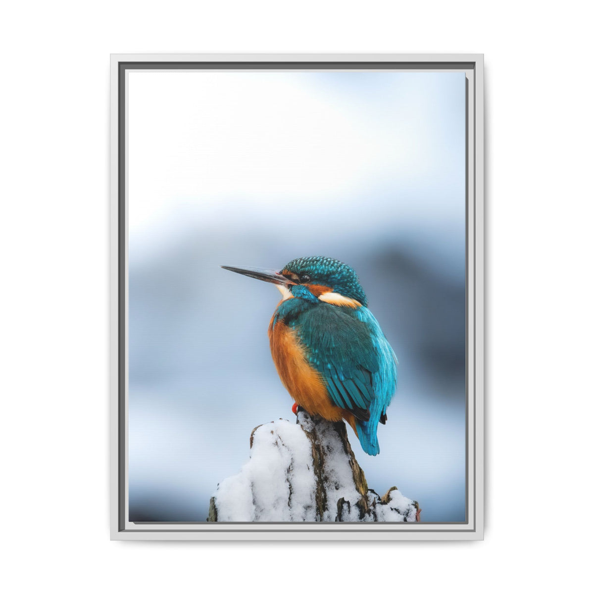 Framed Kingfisher Canvas Print — Matte Nature Wall Art