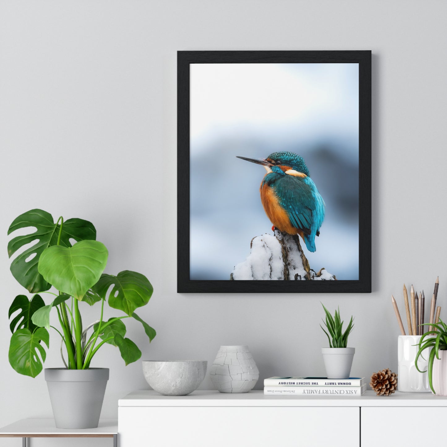 Kingfisher posing