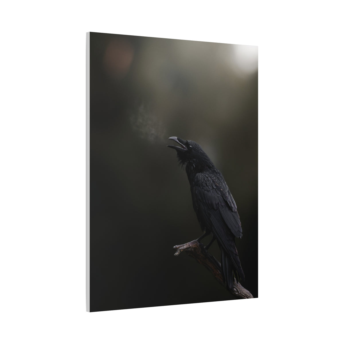 Raven Perched Matte Canvas Wall Art — Moody Dark Nature Photography