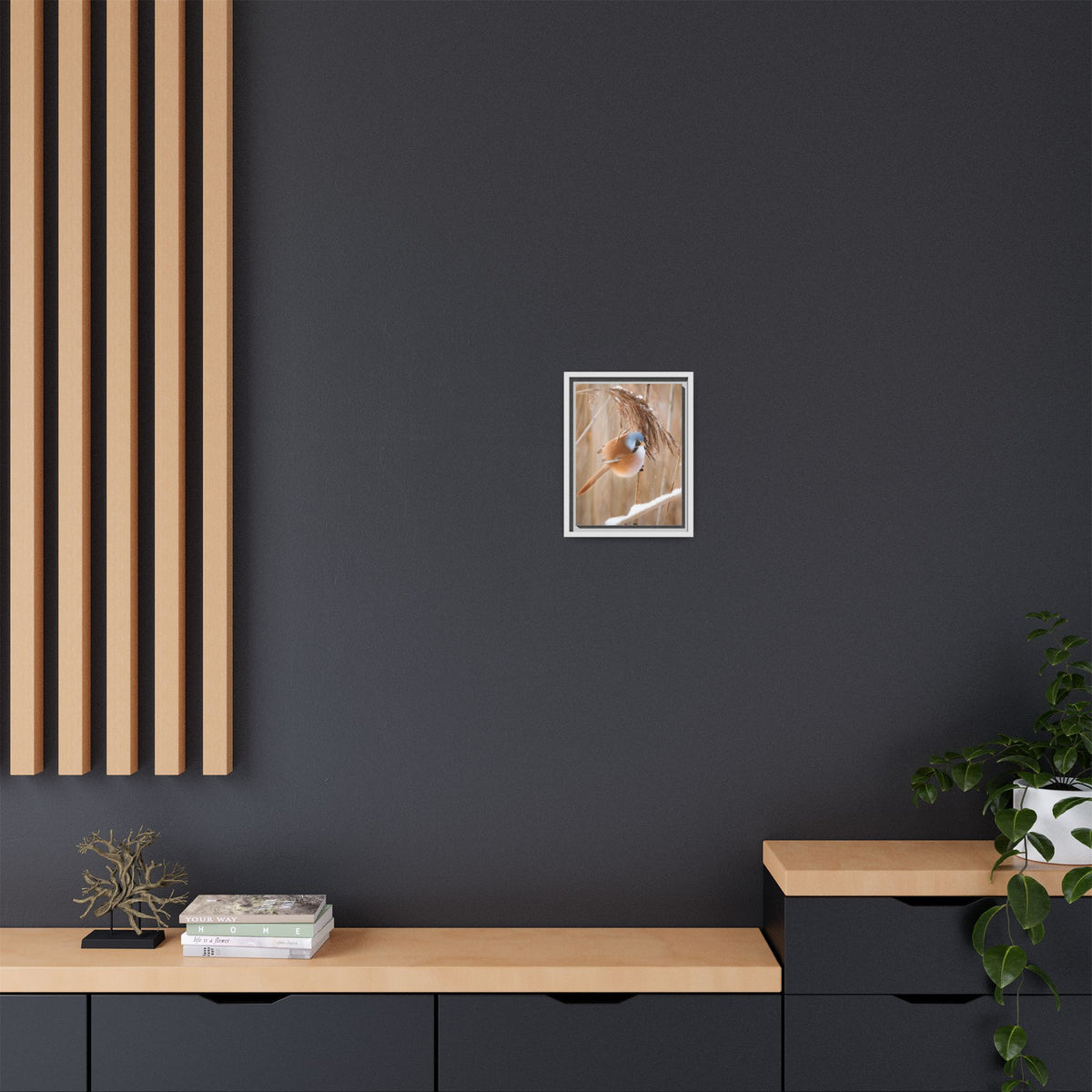 Framed Matte Canvas - Bearded Reedling Bird Photography (Winter Marsh)