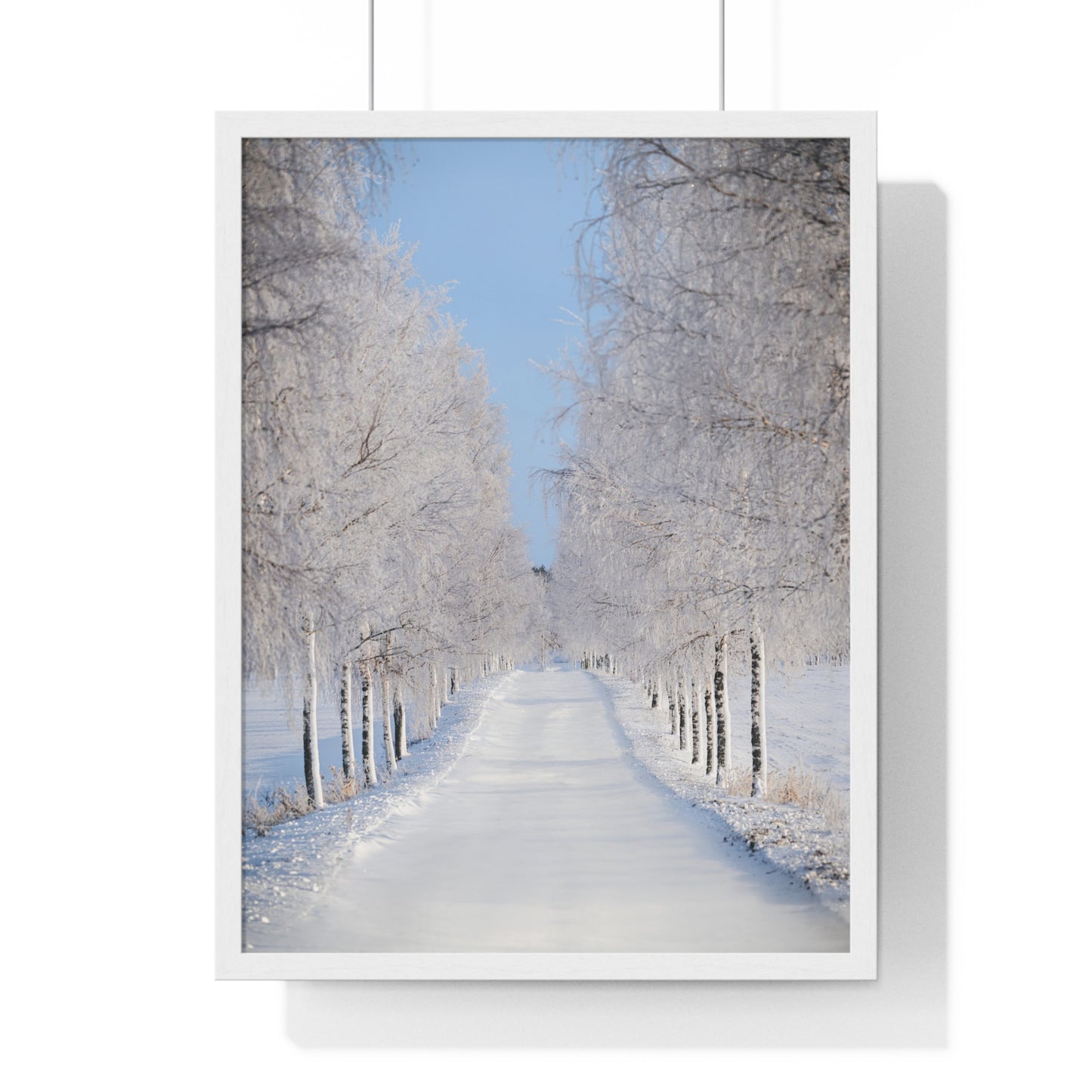 Winter Wonderland