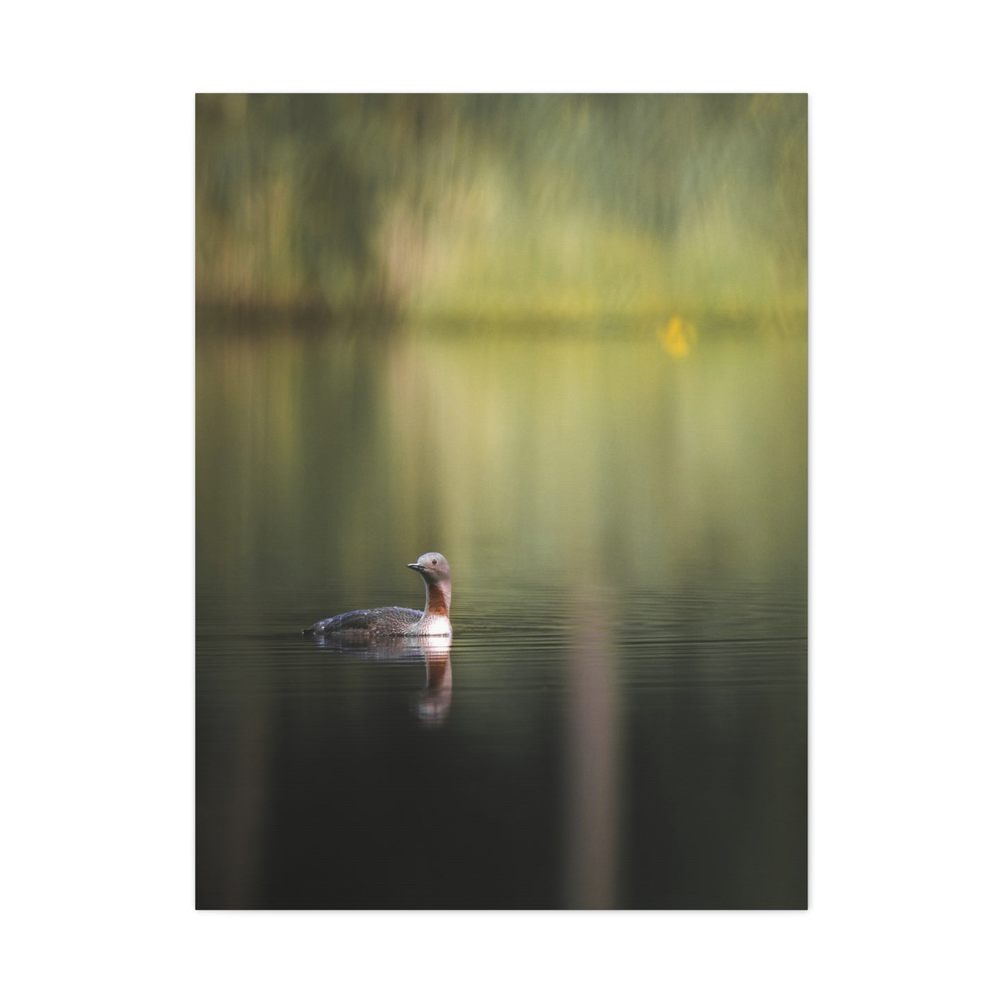 Calm Waters