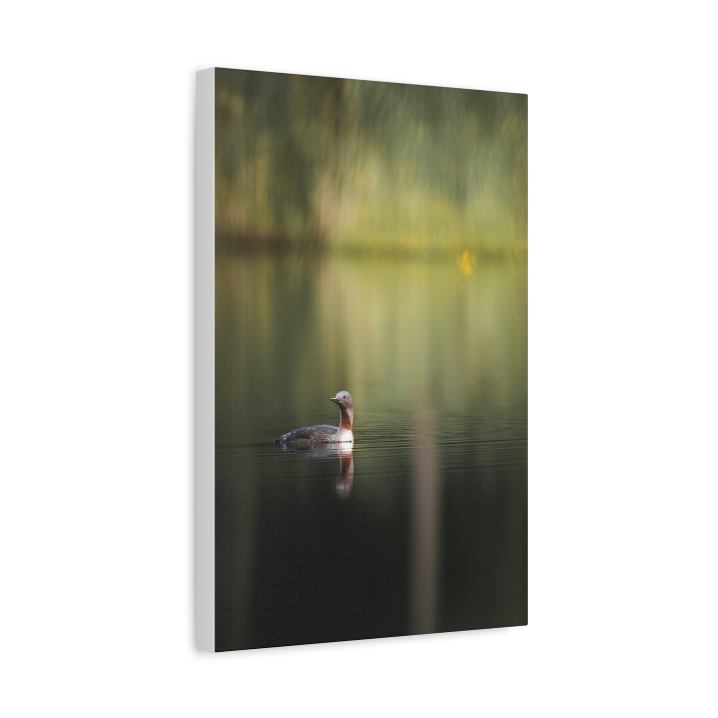 Calm Waters