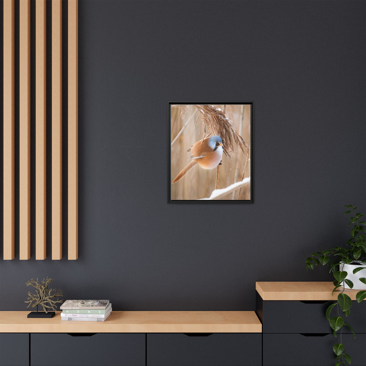 Framed Matte Canvas - Bearded Reedling Bird Photography (Winter Marsh)