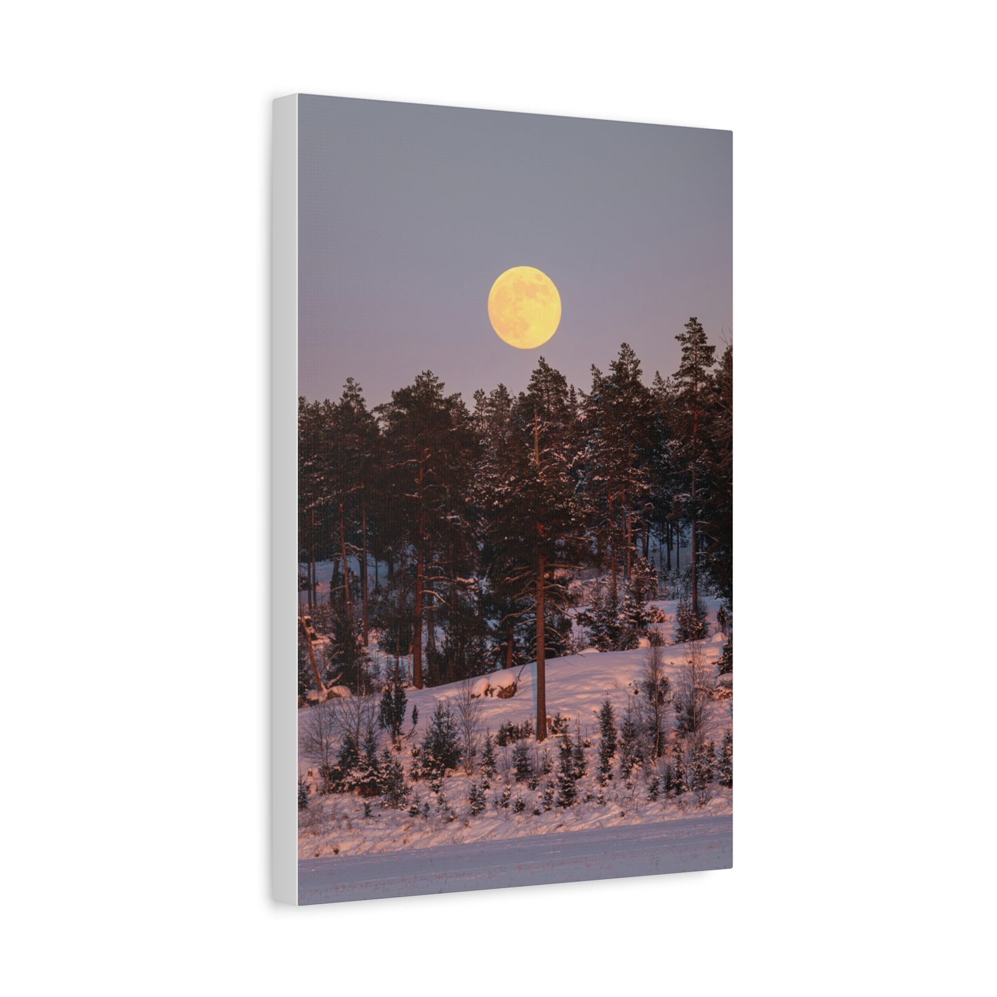 Winter Moonrise