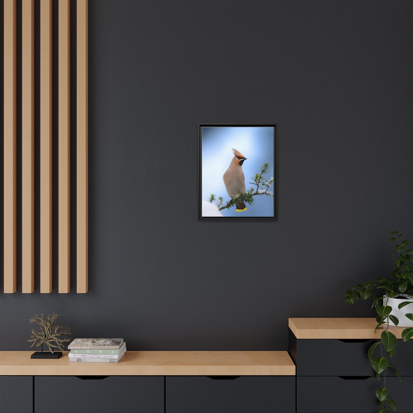 Bohemian Waxwing