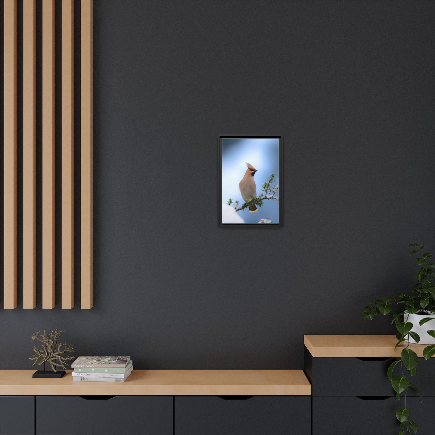 Bohemian Waxwing