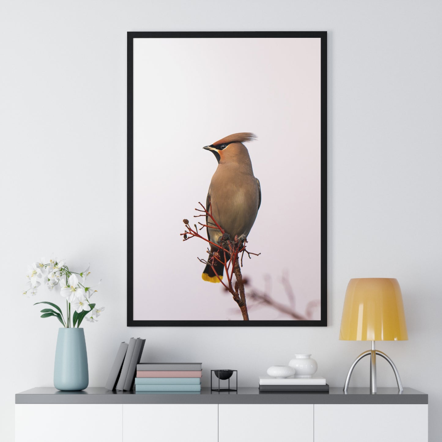 Bohemian Waxwing during sunset