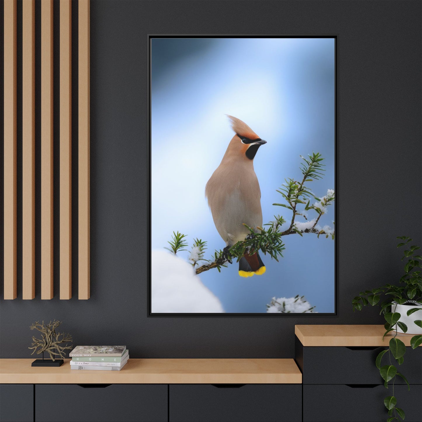 Bohemian Waxwing