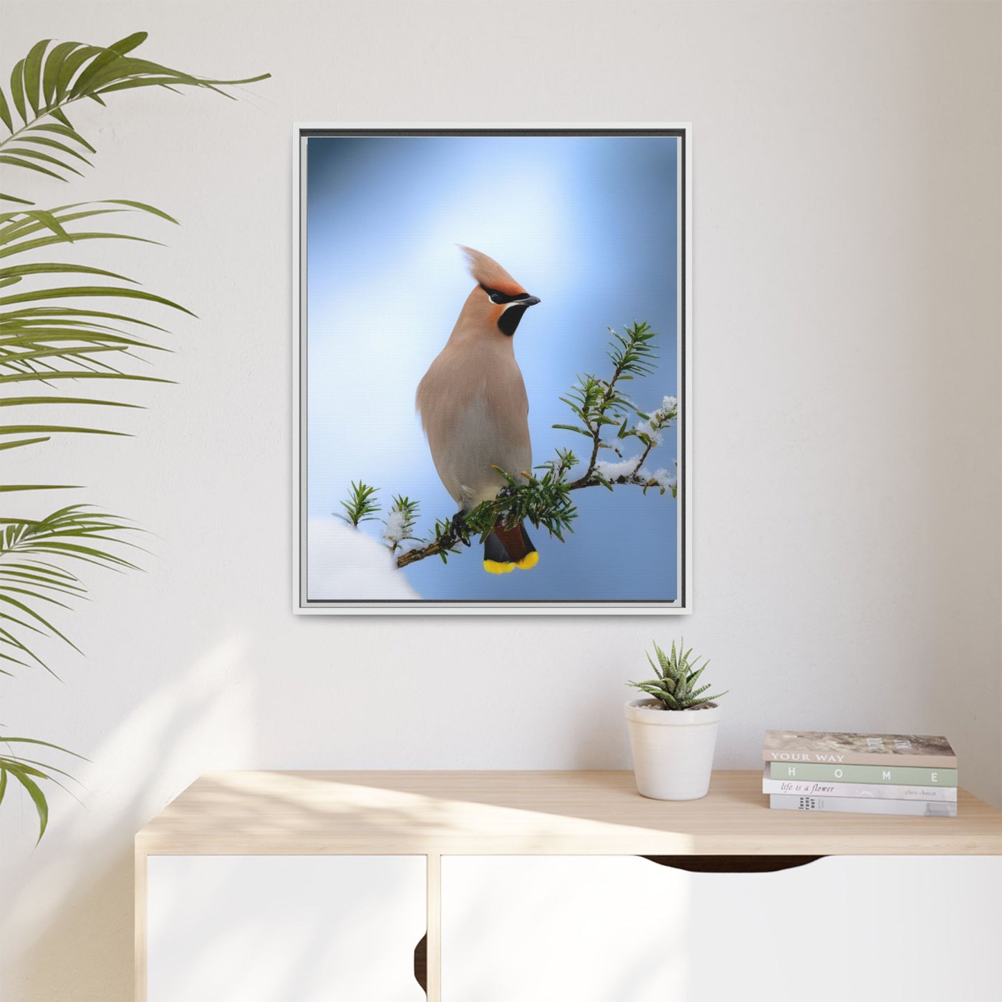Bohemian Waxwing