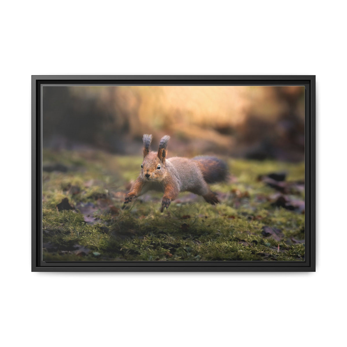 Framed Matte Canvas – Red Squirrel in Mossy Forest Wall Art