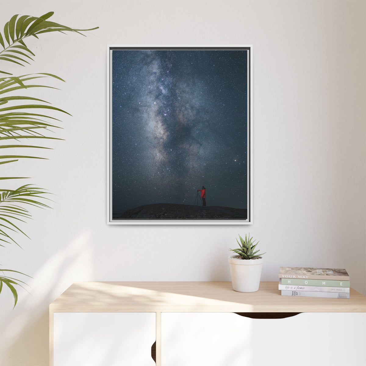 Stargazer