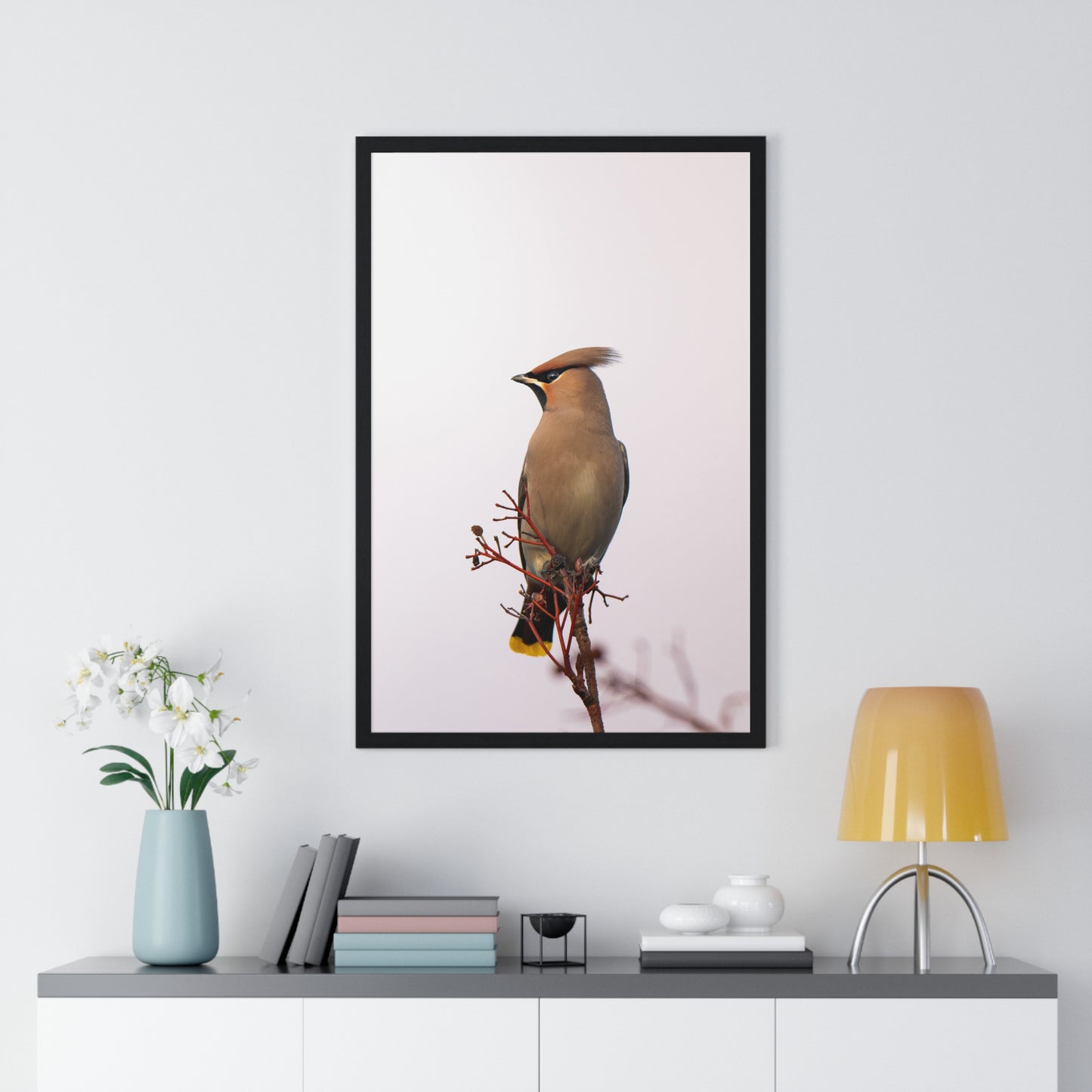Bohemian Waxwing during sunset