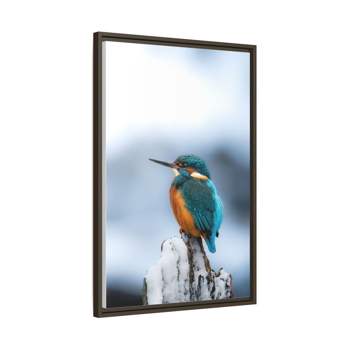 Framed Kingfisher Canvas Print — Matte Nature Wall Art