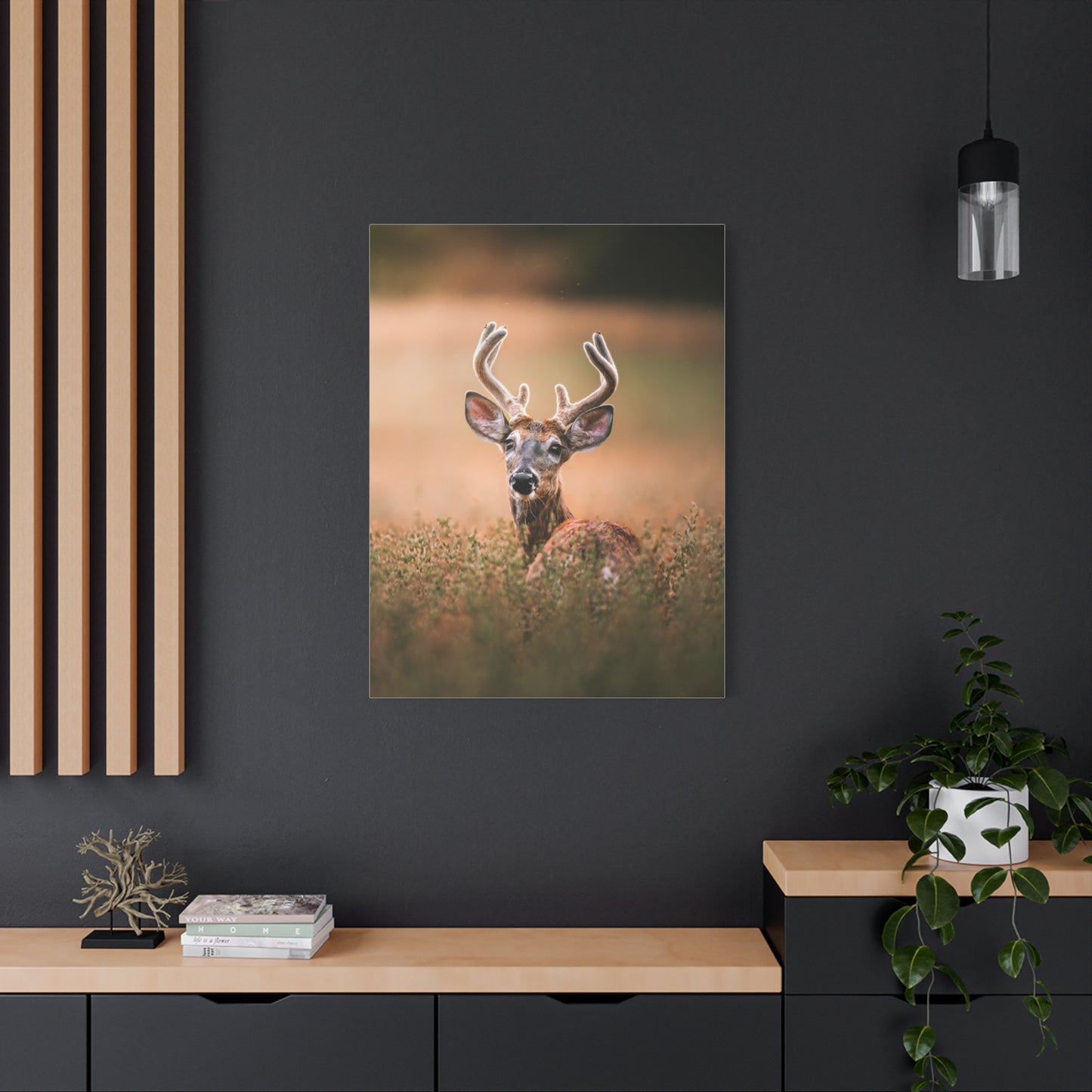 Crown Deer