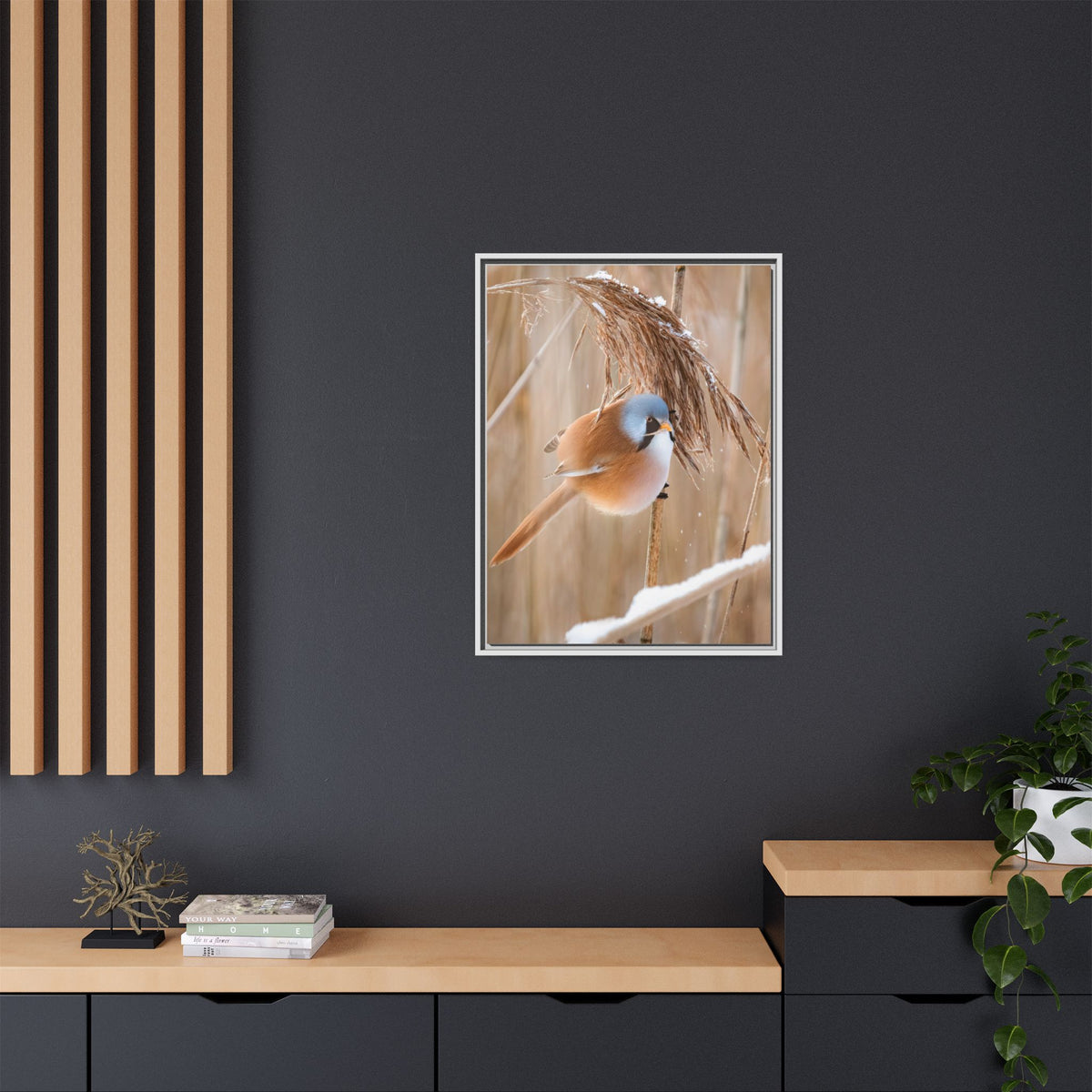 Framed Matte Canvas - Bearded Reedling Bird Photography (Winter Marsh)