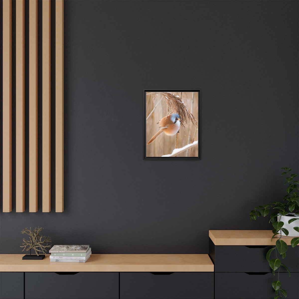 Framed Matte Canvas - Bearded Reedling Bird Photography (Winter Marsh)