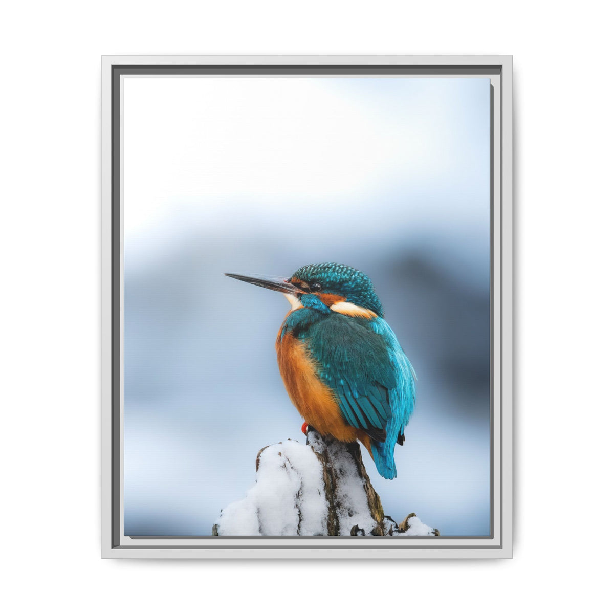 Framed Kingfisher Canvas Print — Matte Nature Wall Art