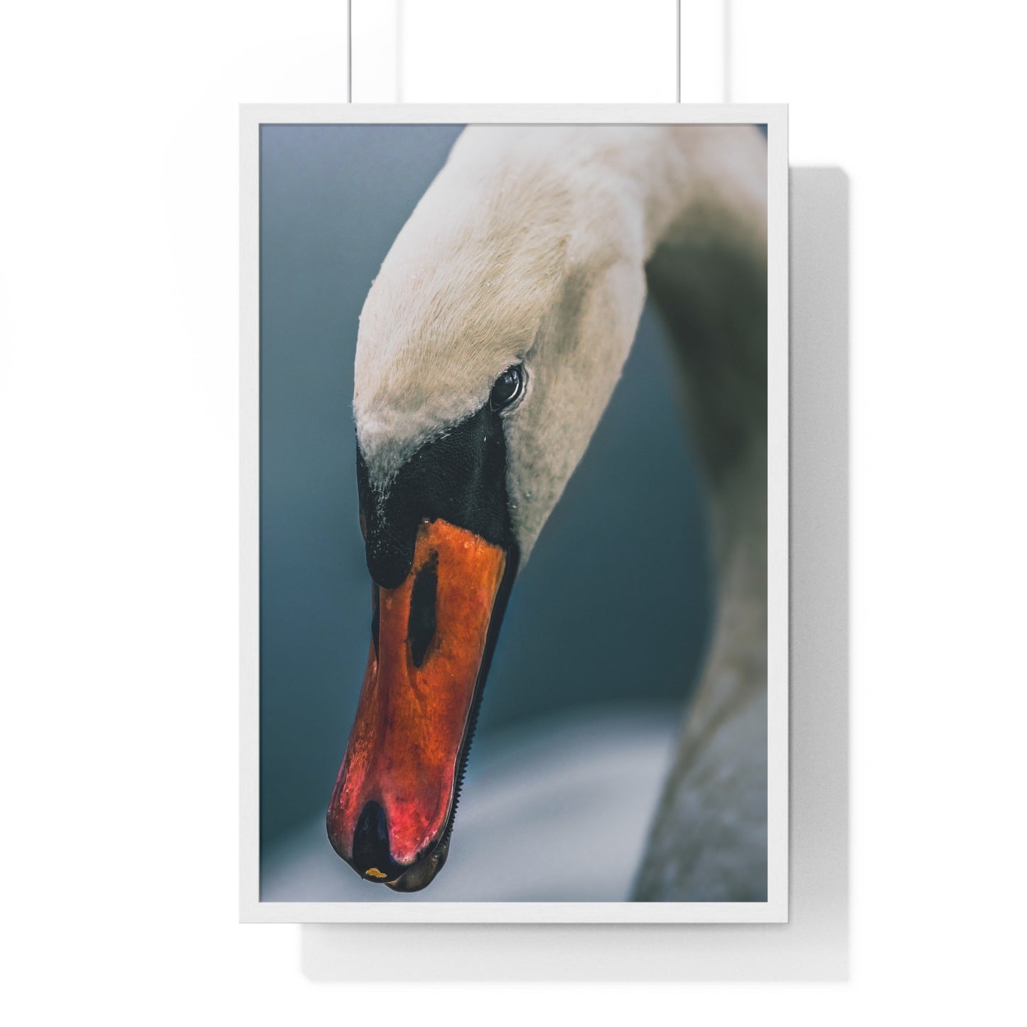 Stillness Framed