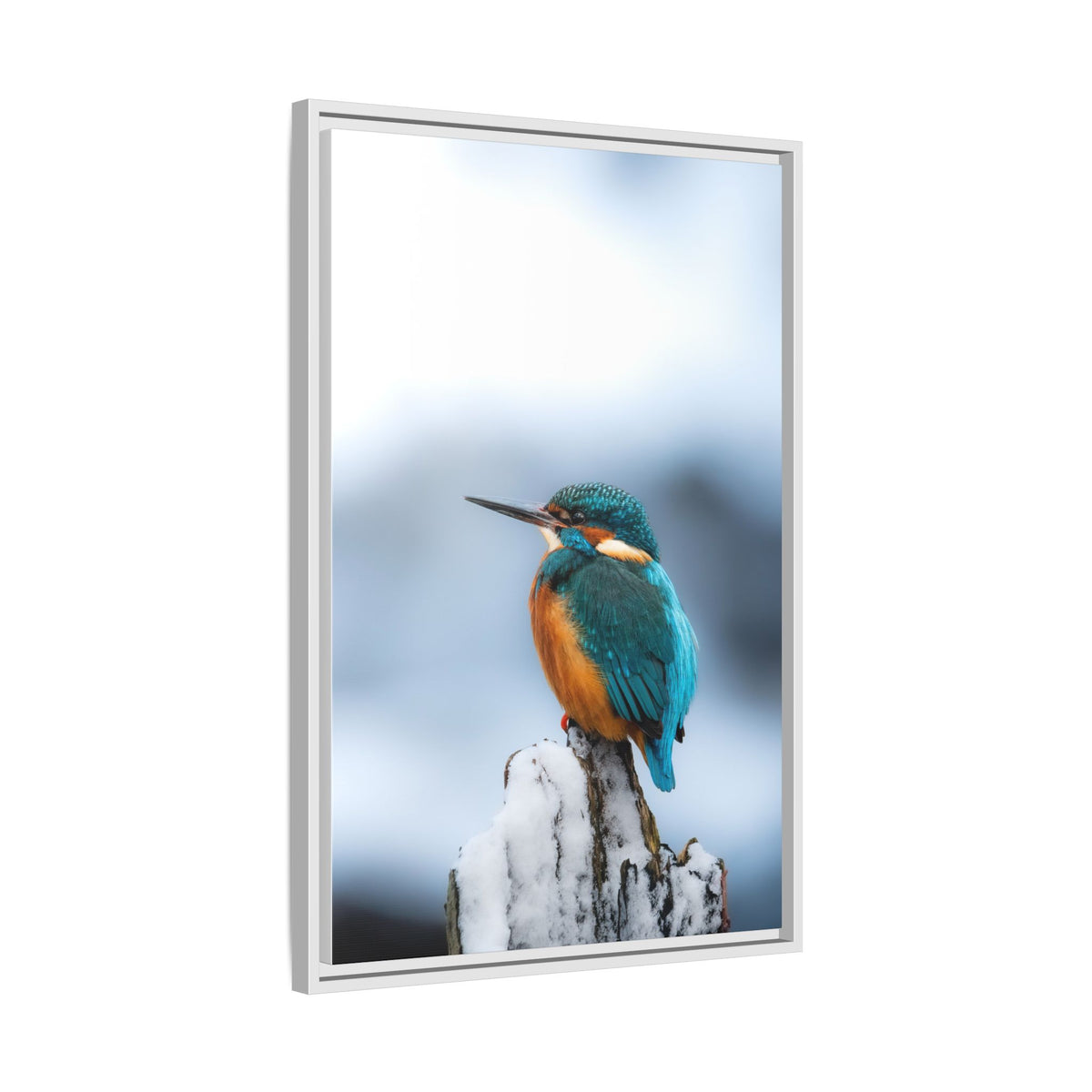 Framed Kingfisher Canvas Print — Matte Nature Wall Art