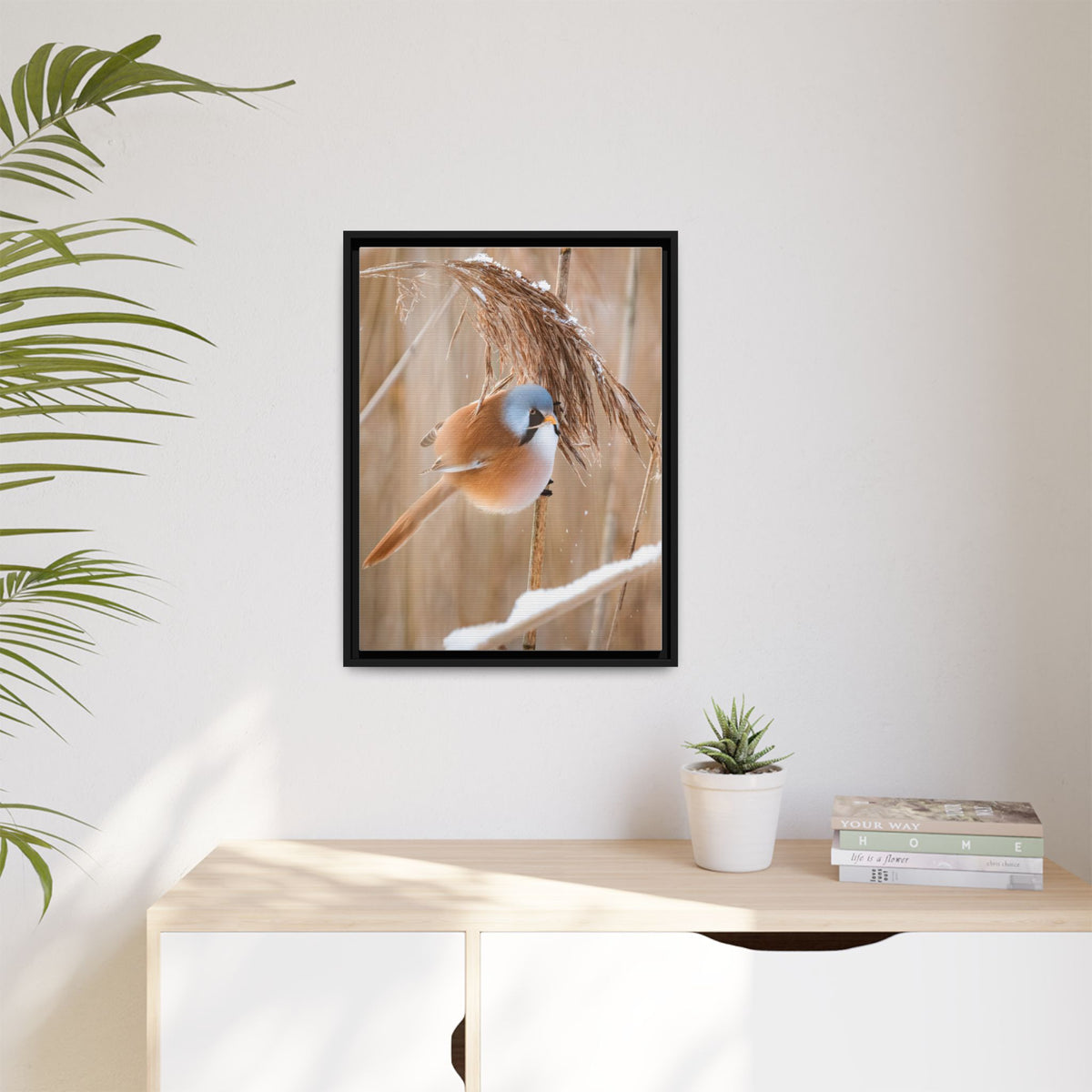 Framed Matte Canvas - Bearded Reedling Bird Photography (Winter Marsh)