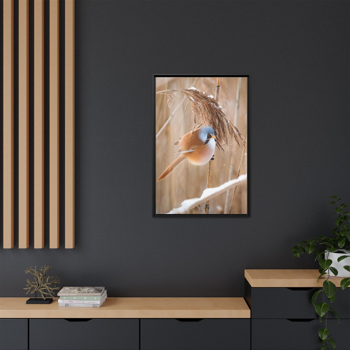 Framed Matte Canvas - Bearded Reedling Bird Photography (Winter Marsh)