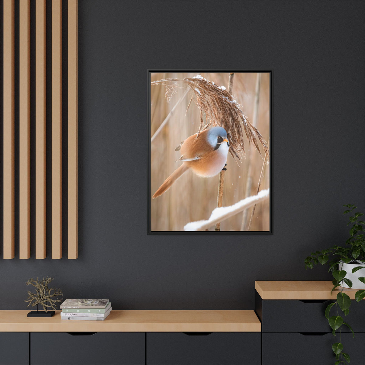 Framed Matte Canvas - Bearded Reedling Bird Photography (Winter Marsh)