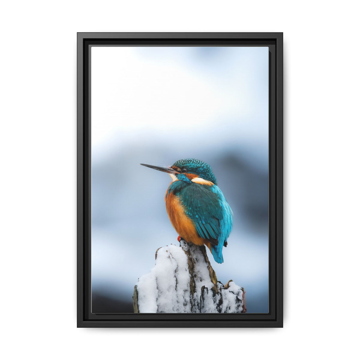 Framed Kingfisher Canvas Print — Matte Nature Wall Art