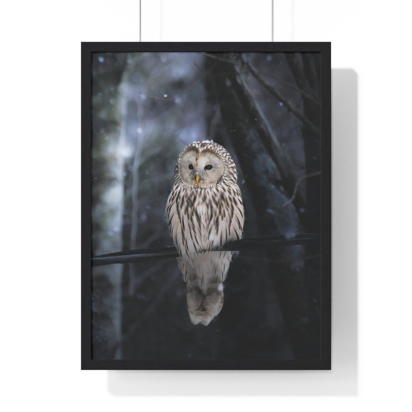 Winter Owl